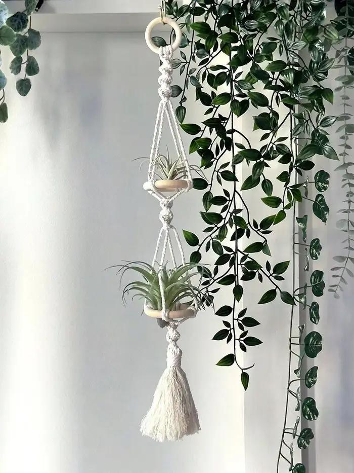 Cintres Muraux en Macramé pour Plantes à Air