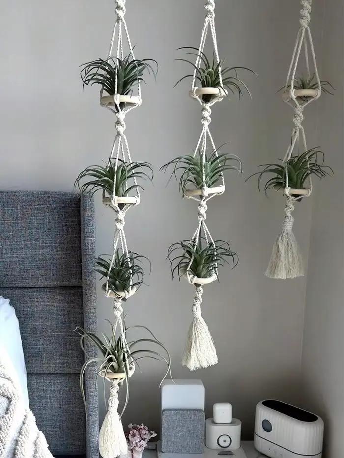 Cintres Muraux en Macramé pour Plantes à Air
