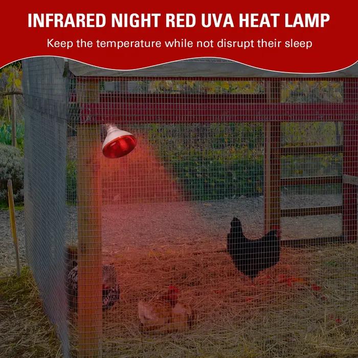 Lampe chauffante infrarouge jour et nuit, 100W/150W/200W/250W/275W, ampoule rouge pour couveuse, poulailler, serpent, amphibien, Animal de compagnie, Reptile
