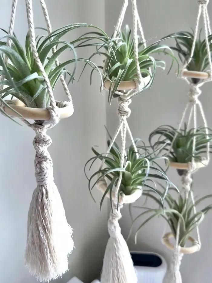 Cintres Muraux en Macramé pour Plantes à Air