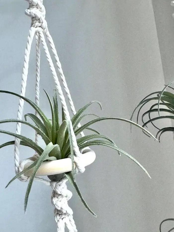 Cintres Muraux en Macramé pour Plantes à Air