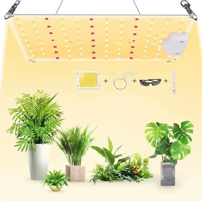 Lampe de culture LED 500W 600W 800W 1000W à diodes, spectre complet, silencieuse, Quantum Board, pou