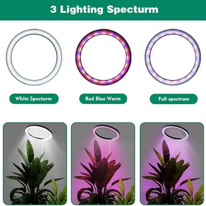 LED élèvent la lumière spectre complet plante lampe de croissance pour plantes d'intérieur hauteur réglable réglable réglable 10 "grande plante lumière avec minuterie
