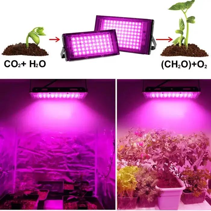 Lampe de culture LED 50W 100W 200W 300W, lampe UV pour plantes, 220V, culture intérieure, spectre complet, phytolampes pour semis, légumes et fleurs
