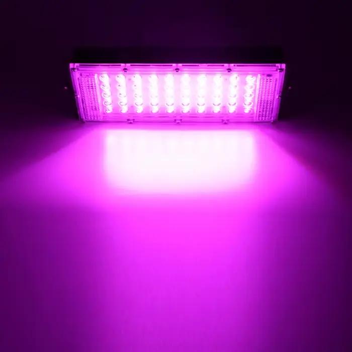 LED grandir lumière Phyto lampe AC 220V 50W LED spectre complet projecteur intérieur extérieur serre plante hydroponique plante projecteur