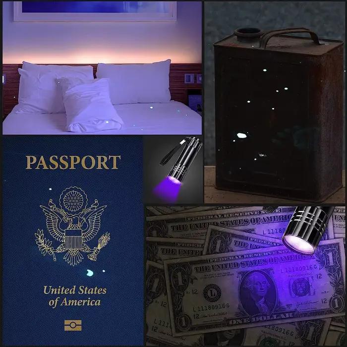 Mini lampe de poche UV lampe ultraviolette 395-400nm lampes de poche à lumière noire torche UV détecteur de lumière UV pour tache d'urine animale de compagnie tache sèche