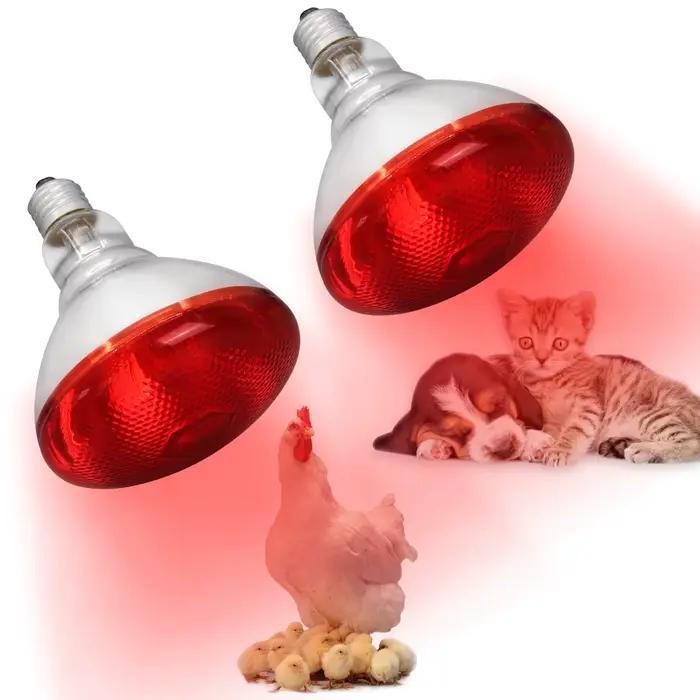 Lampe chauffante infrarouge jour et nuit, 100W/150W/200W/250W/275W, ampoule rouge pour couveuse, poulailler, serpent, amphibien, Animal de compagnie, Reptile