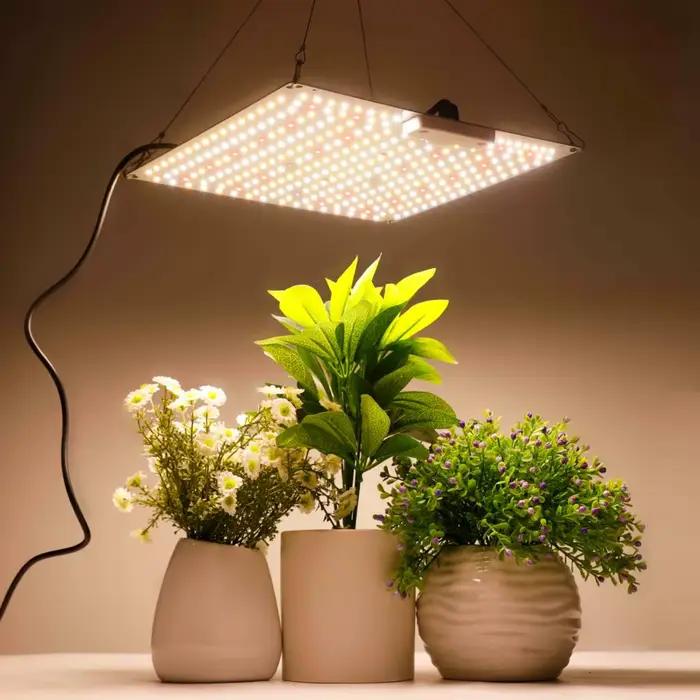 Lampe de culture LED 500W 600W 800W 1000W à diodes, spectre complet, silencieuse, Quantum Board, pour serre, tente de culture et plantes hydroponiques