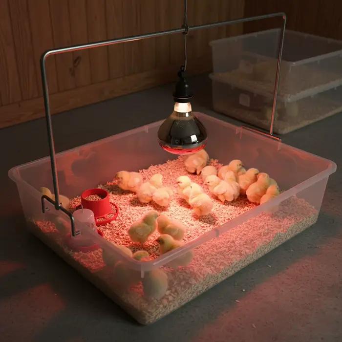 Lampe chauffante infrarouge pour couveuse d'animaux, pour porcelets et poussins