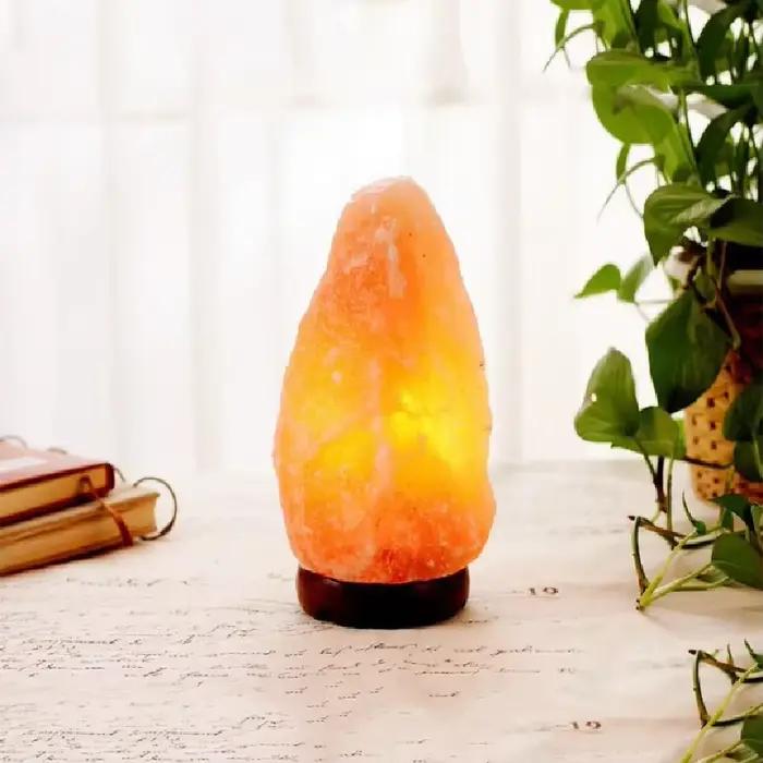 Lampes en sel de l'Himalaya naturel avec prise européenne
