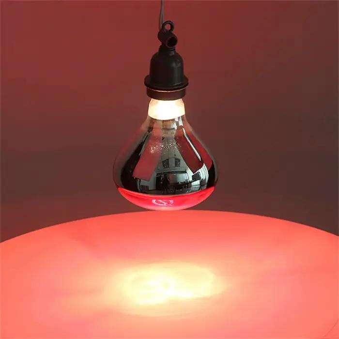 Lampe chauffante infrarouge pour couveuse d'animaux, pour porcelets et poussins