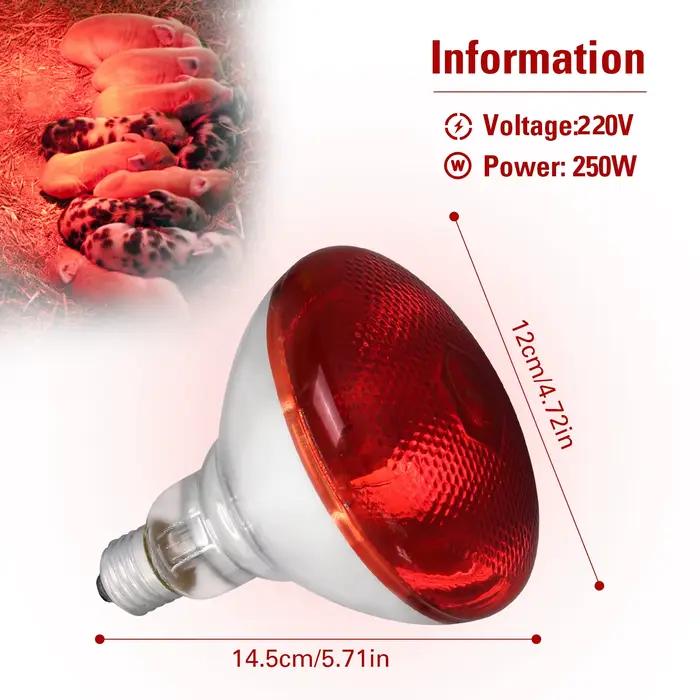 Lampe chauffante infrarouge jour et nuit, 100W/150W/200W/250W/275W, ampoule rouge pour couveuse, poulailler, serpent, amphibien, Animal de compagnie, Reptile