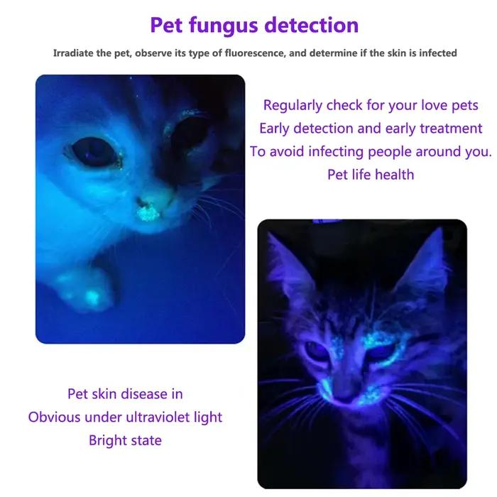 Mini lampe torche UV 3W 365nm rechargeable, lumière noire ultraviolette, pour manucure, détection d'urine de chat/chien, teigne, argent, minerais, scorpion