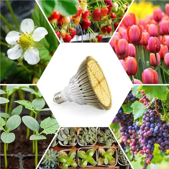 LED plante lumière supplémentaire E27 serre semis 85-265V cultiver lampe et ampoule succulente spectre complet Imitation du soleil